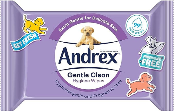 Andrex Gentle Clean Moist Toilet Tissue - Flushable Hygiene Wipes Single (12 Packs x 36 Sheets)